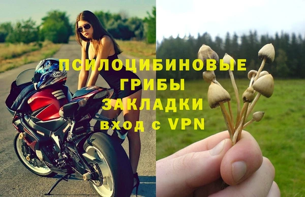 хмурый Семикаракорск
