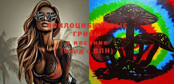 круглые Семёнов